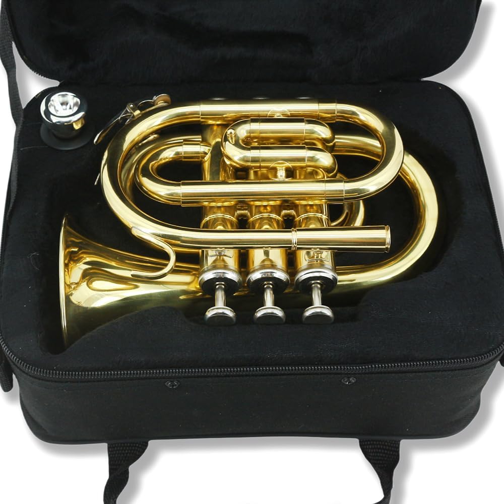Pocket Trumpet Bb Flat Brass Trumpet for Beginner Student with 7C Mouthpiece Carrying Hard Case Cleaning Cloth Gloves