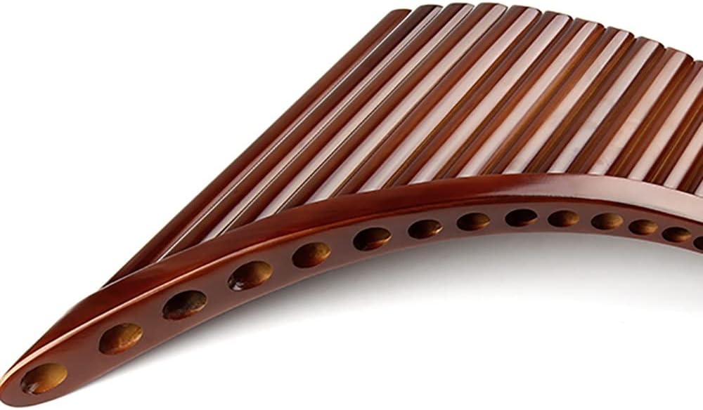 22 Pipes Pan Flute, Pan Pipes Woodwind Instrument, Traditional Musical Instrument Bamboo Pan Flute, for Beginners Learning Teaching (Size : G Key)