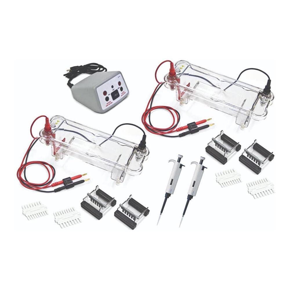 Walter Products EL-200-16 EL200 Electrophoresis Dual Station