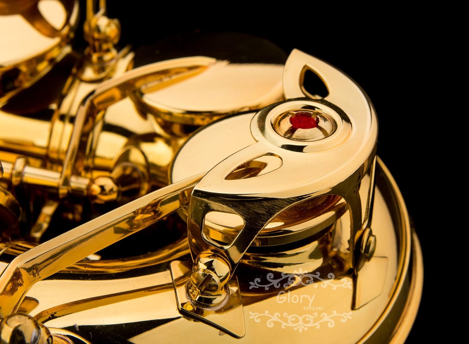 Glory Gold Laquer E Flat Alto Saxophone with 11reeds,8 Pads cushions,case,carekit