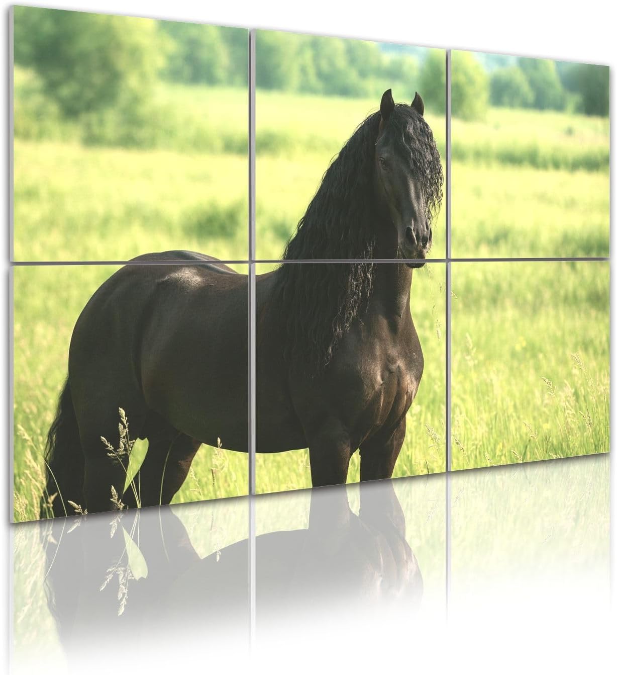 6 Pack Art Acoustic Panels Self Adhesive friesian horse meadow horses field pictures Decorative Soundproof Wall Panels Sound Absorbing Panel 48