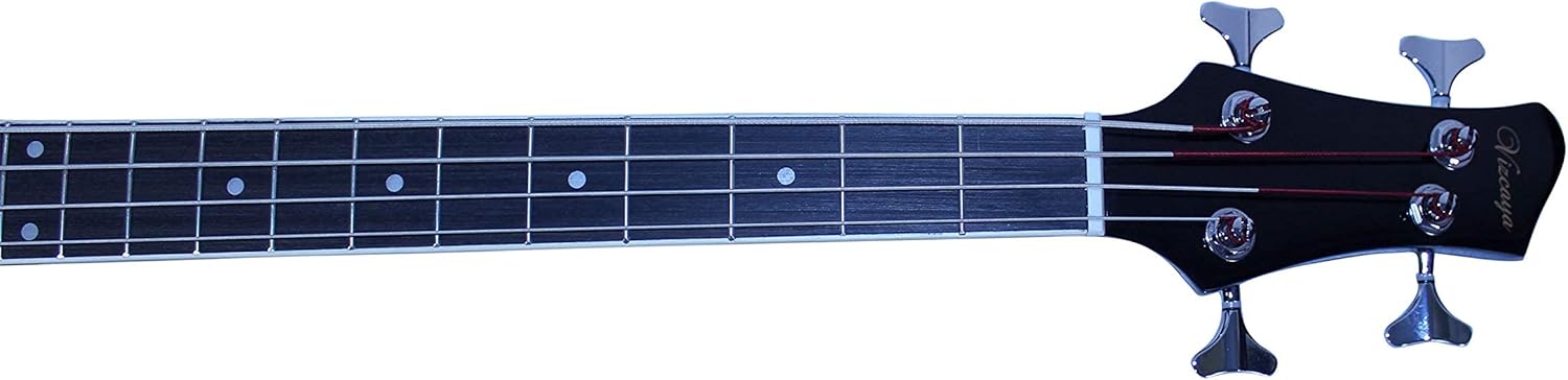 Vizcaya Full Size 4 Strings Cutaway Acoustic-Electric Bass Guitar With 4-Band Equalizer,5mm Padding Gig Bag,Strap, Picks-Black