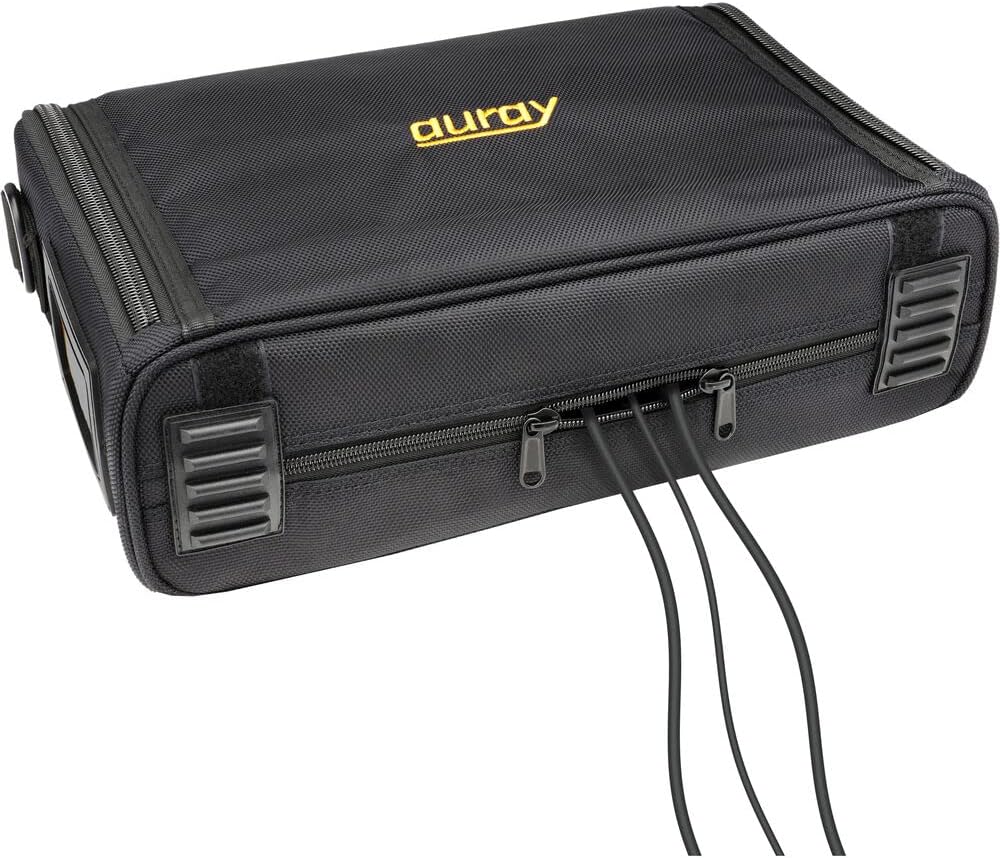 Sennheiser EW-D CI1 Set Digital Wireless Instrument System (R1-6: 520 to 576 MHz) Bundle with Auray WSB-1S Carrying Bag and XLR-XLR Cable