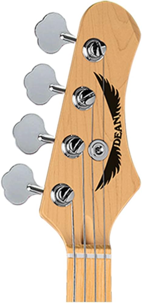 Dean Guitars PARAMOUNT M TSB-KIT-1 4-String Bass Guitar Pack