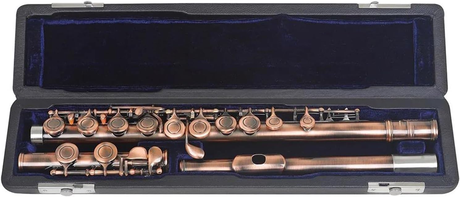 Woodwind Instruments 16 Flute C Key Flute Cupronickel Transverse Flute Musical Instrument With E Key Accessorie