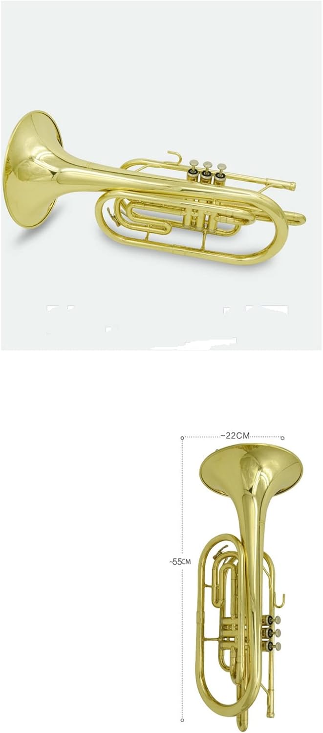 French Horn in B Flat is Suitable for Band Performance Horns Trumpet Set