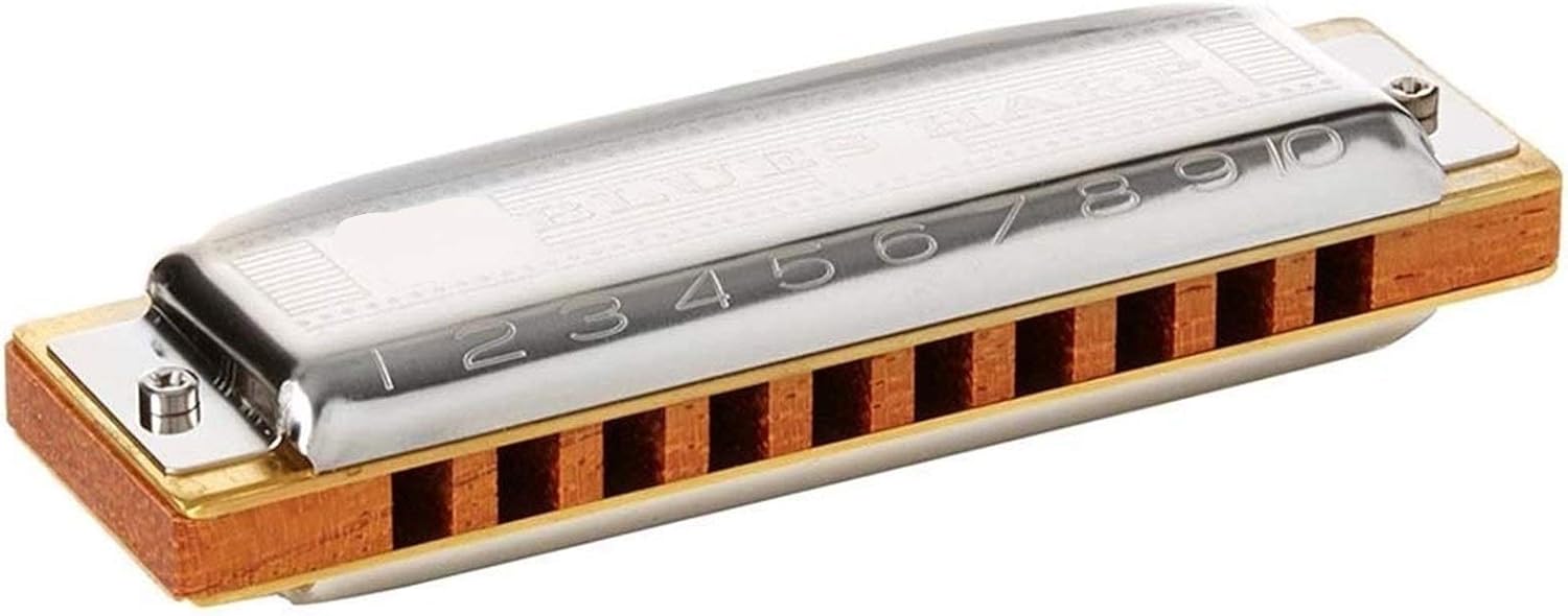 Harmonica Blues Harp 532/20 Diatonic Harmonica 10 Holes 20 Tone Mouth Organ Key C Musical Instruments (Color : Key Db)