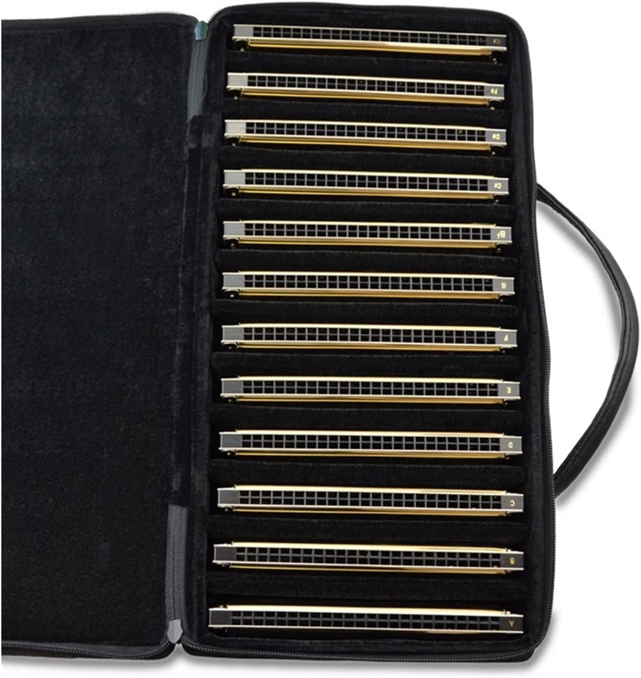 Harmonica Tremolo 24 Holes Harmonica Professional Mouth Organ harp Instrumentos Key C ABS Comb Musical Instruments (Color : Silver Color 12pcs)