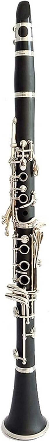 TSTS Professional 17 Key Bb Hard Rubber Clarinet Musical Instrument Woodwind Instruments Students Used Clarinet for Beginner