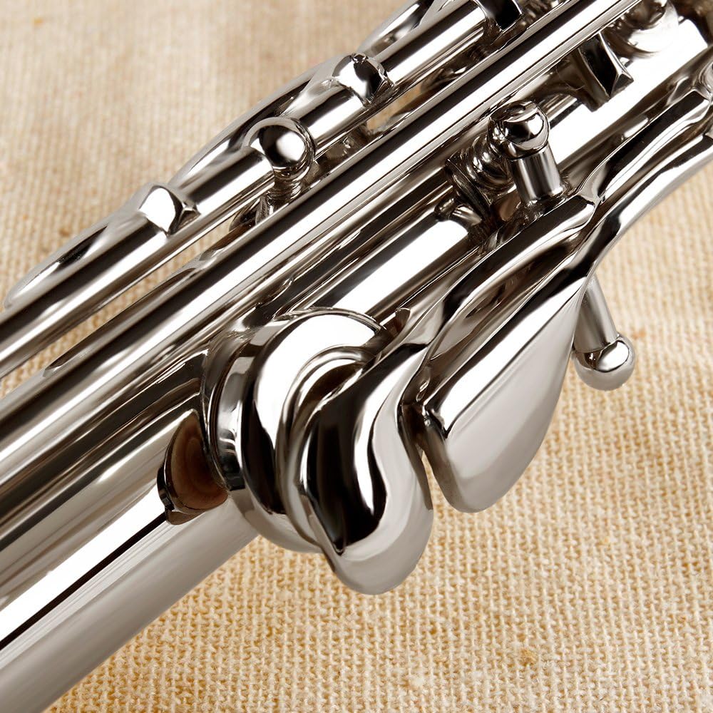 MoonAngel Silver Nickel Plated 17 Hole C Key Flute, Woodwind Instrument, Silver Color