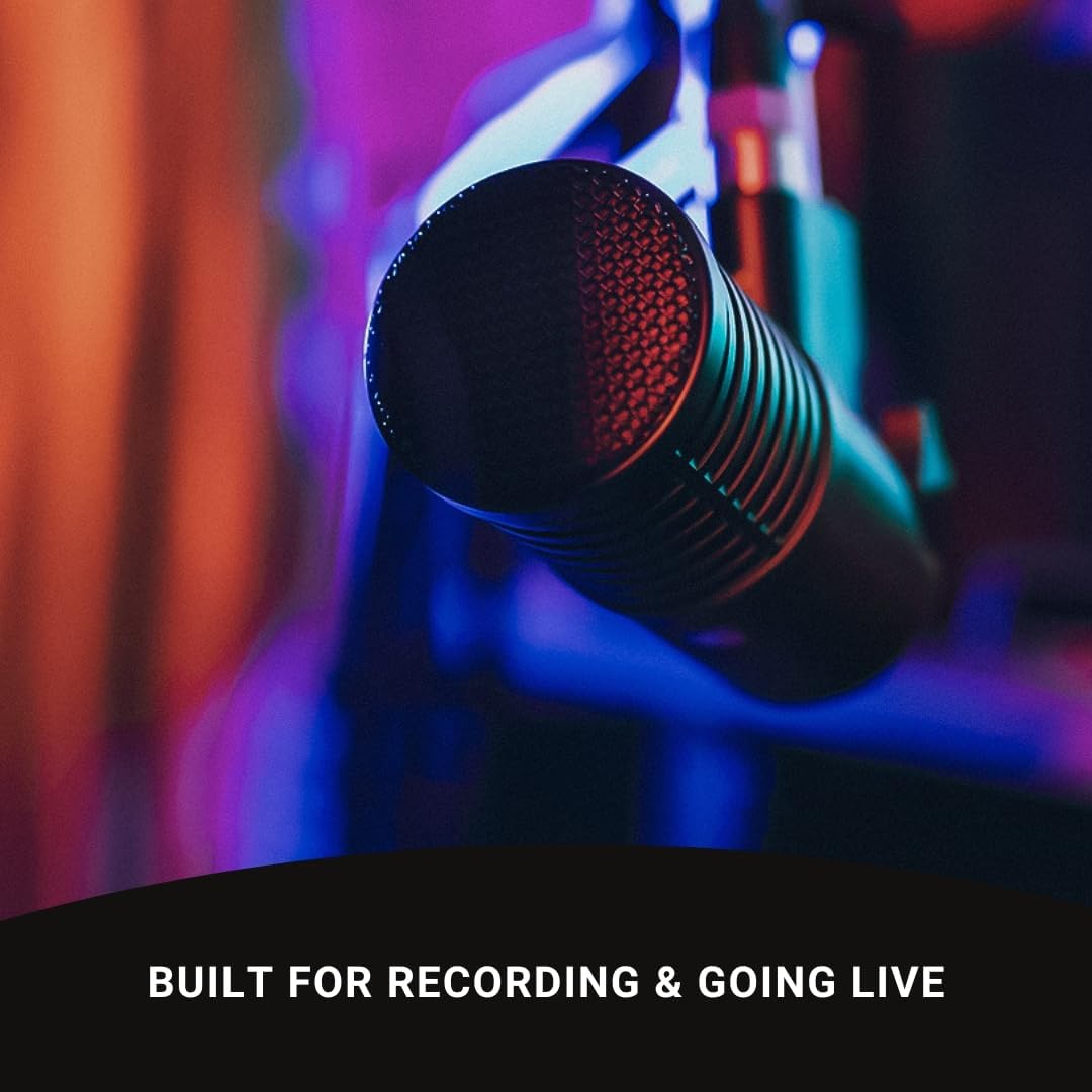 SE ELECTRONICS Dynacaster Dynamic Broadcast Microphone with Built-in Dynamite Pre-amp