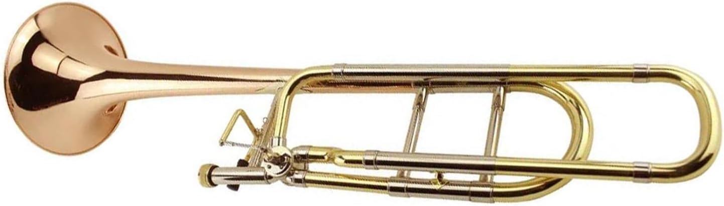 Adult Trombone Instrument Beginner's Trombone B/F Tenor Brass Playing Practice Instrument