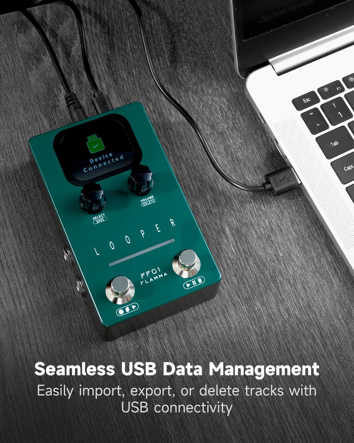 FLAMMA Looper Guitar Pedal, FF01 Looper Pedal with 40 Slots 160 Mins Looping Time, Stereo Guitar Loop Pedals with Screen for Electric Guitar/Bass, Fade Out, USB Data Management