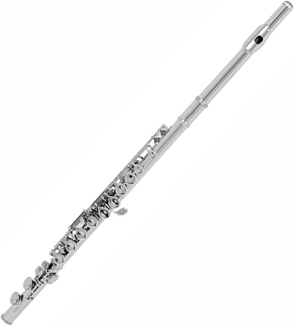 Professional Flute Instrument 16 Closed Hole Flute C Color Professional Woodwind Instrument With E Key(Silver)