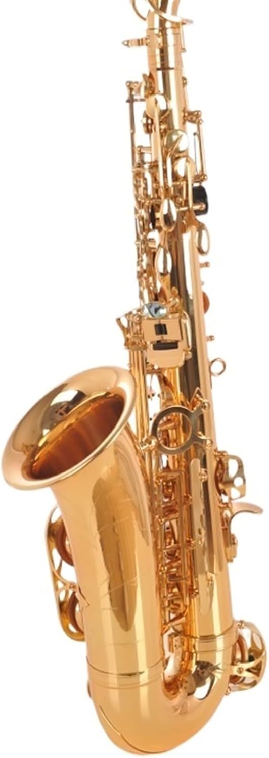Golden Saxophone Alto Saxophone Woodwind Instrument In E Flat