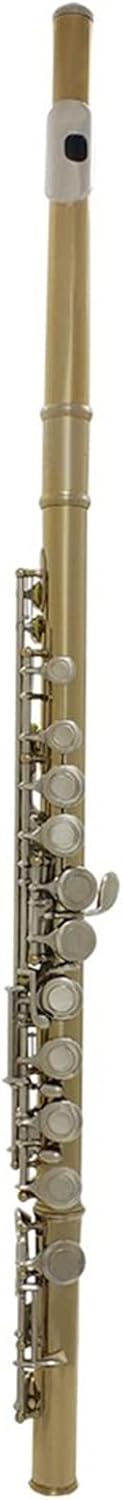 Flutes 16 Closed Holes C Key Golden Silver Flute with Box Gloves Woodwind Musical Instrument