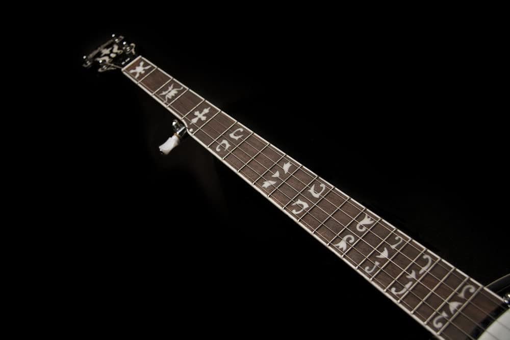 Washburn Americana Series B16K-D 5 String Banjo Sunburst