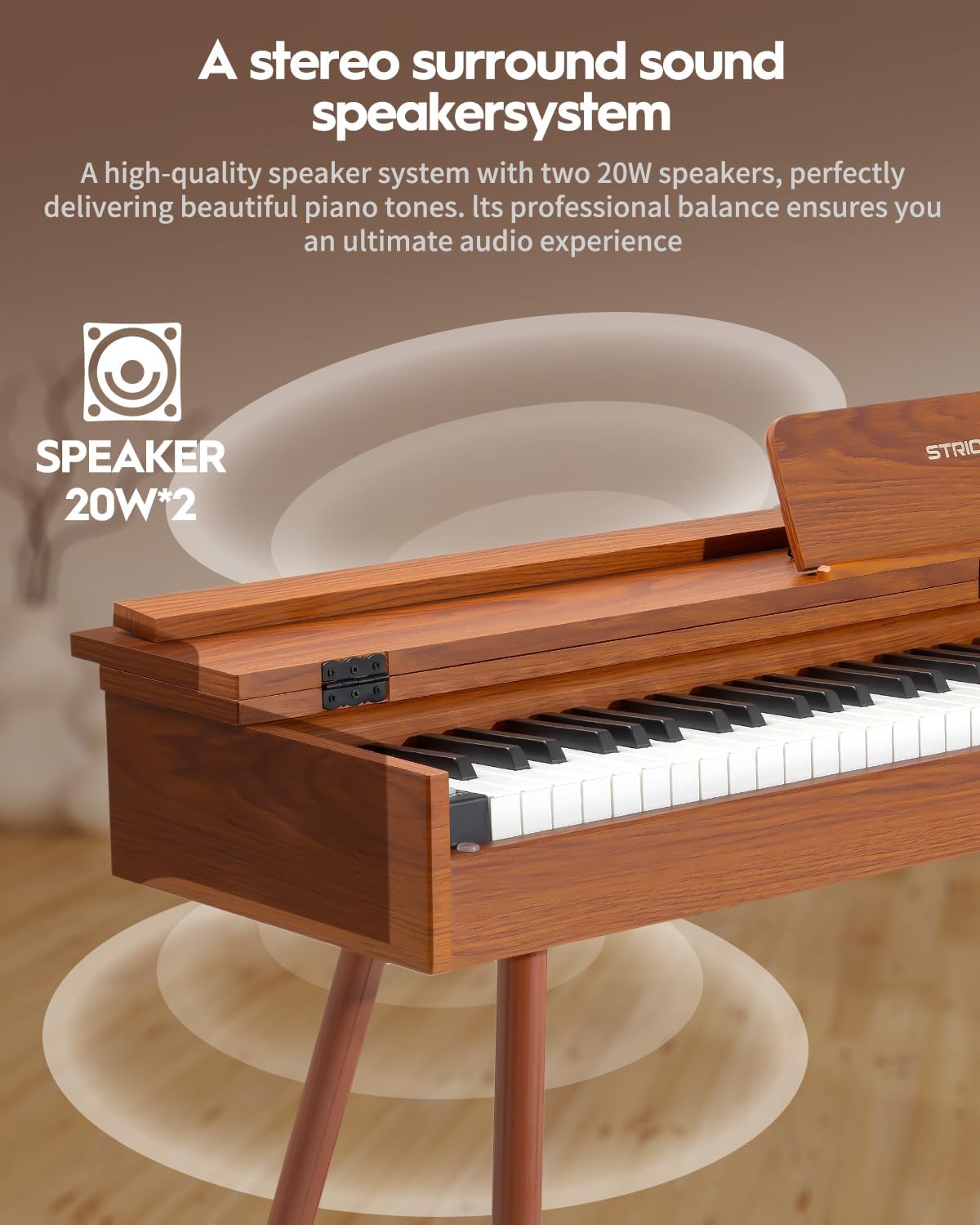 STRICH 88 Key Digital Piano & Piano Bench