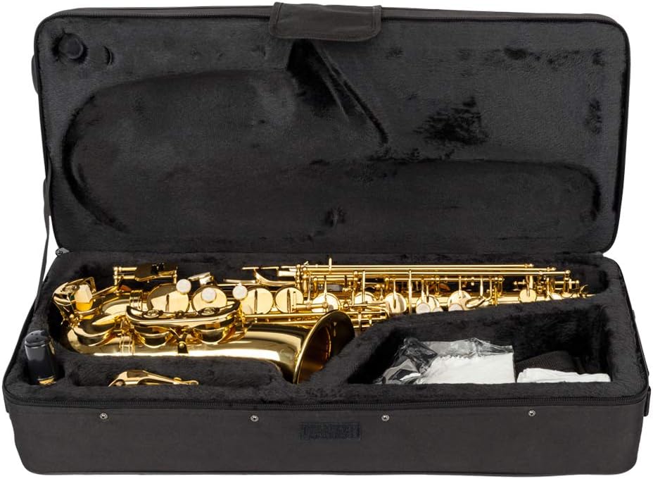 Alto Saxophone E Flat Brass Sax Beginners Kit With Mouthpiece, Neck Strap, Cleaning Cloth Rod, Gloves, Hard Carrying Case With Removable Straps.Gold Lacquer