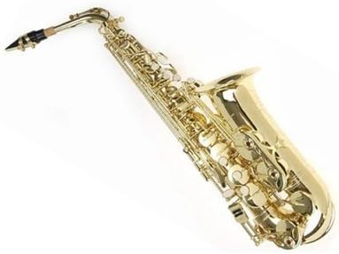 Sky Guarantee Quality Sound E Flat Gold Lacquer Alto Saxophone W High F# Key+Light Weight Case and Extra 10 Reeds (SKYALT101-G)