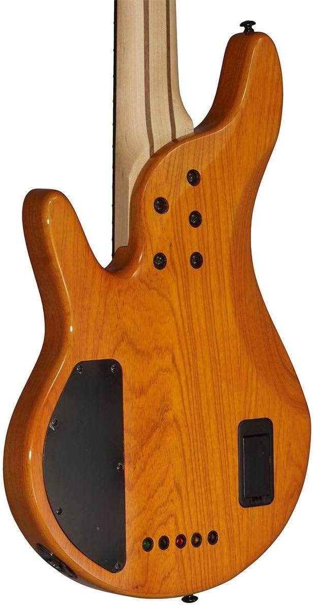 Michael Kelly Pinnacle 5 5-String Bass Guitar