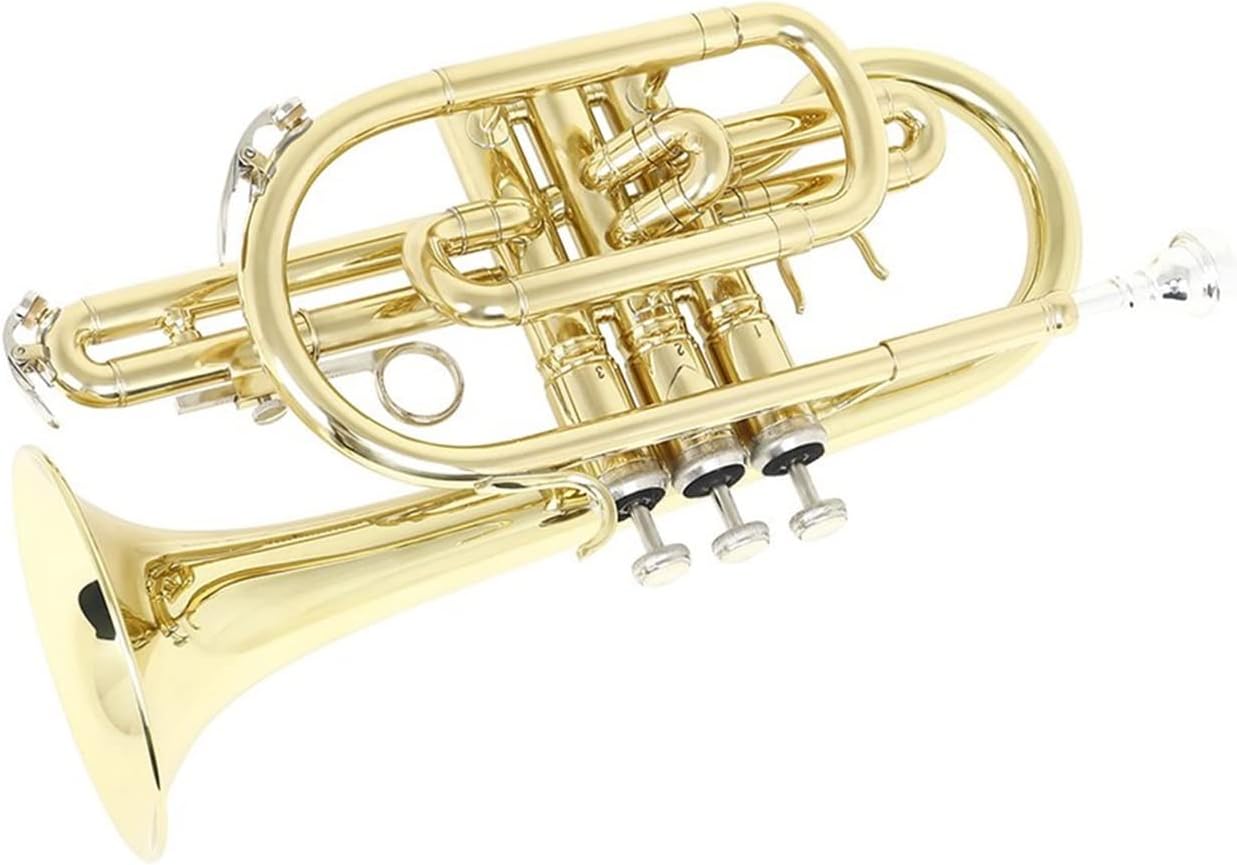 Trumpets Beginner Professional Bb Flat Cornet Brass with Carrying Case Gloves Cleaning Cloth Brushes Wind Instrument Trumpet Set