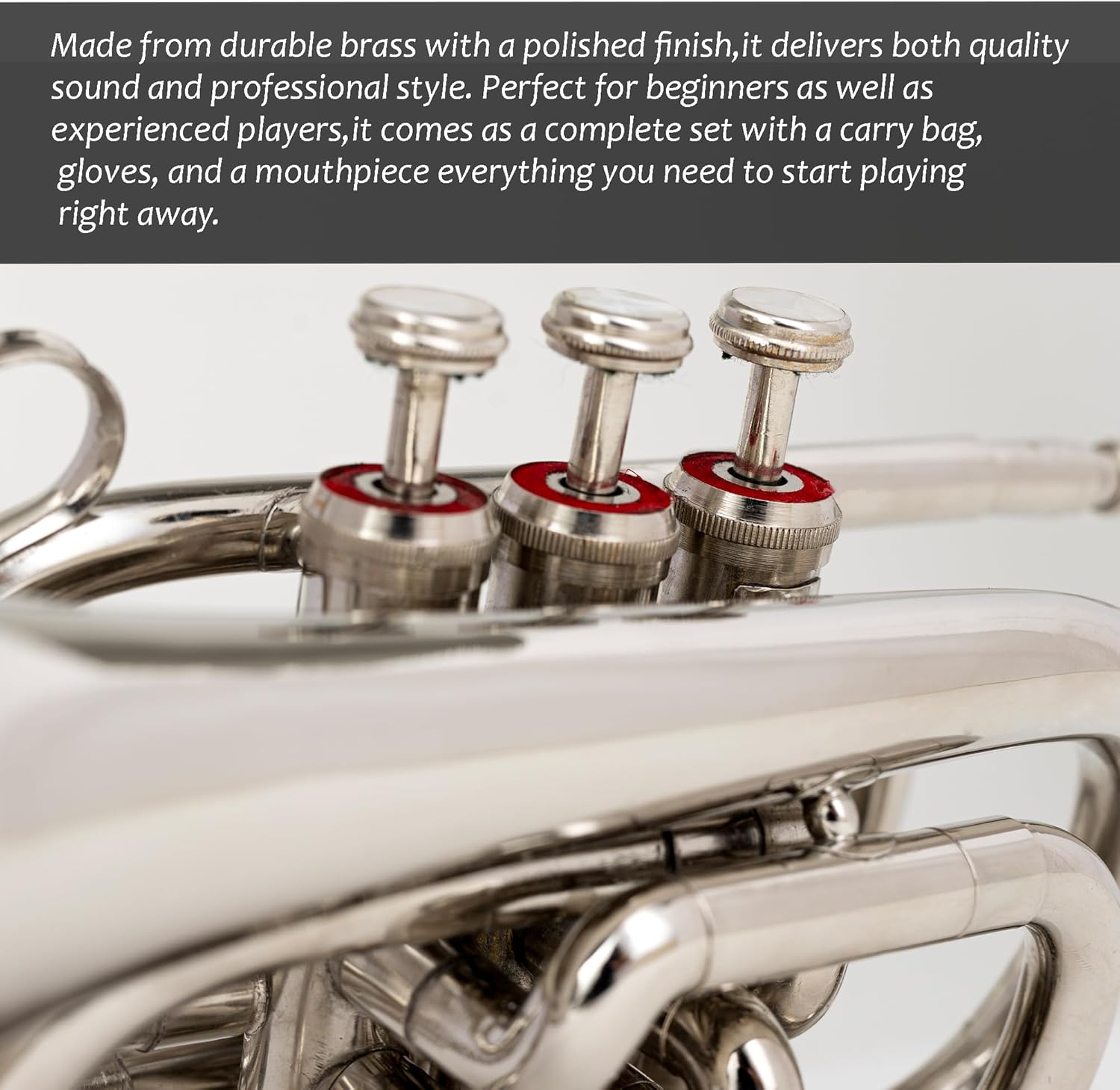 Queen Brass B-Flat Pocket Trumpet Silver Finish Compact Brass Instrument with Mouthpiece Gloves and Carrying Case for Students Beginners and Travel Friendly