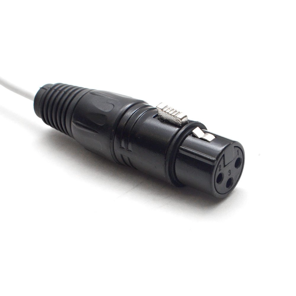 Seismic Audio - SA-DB8XF3 - DB25-8 Channel XLR Female 3 Foot D-Sub Snake Cable Patch Bay Interface Modular Cable