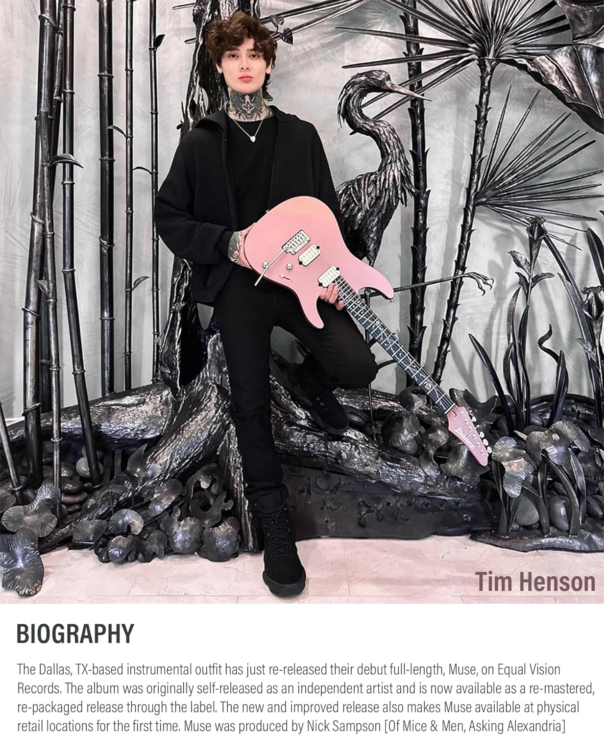 Ibanez TOD10N Tim Henson Nylon Acoustic-Electric Guitar - Transparent Black Flat Bundle with Gig Bag, Tuner, Strap, Strings, Picks, Austin Bazaar Instructional DVD, and Polishing Cloth