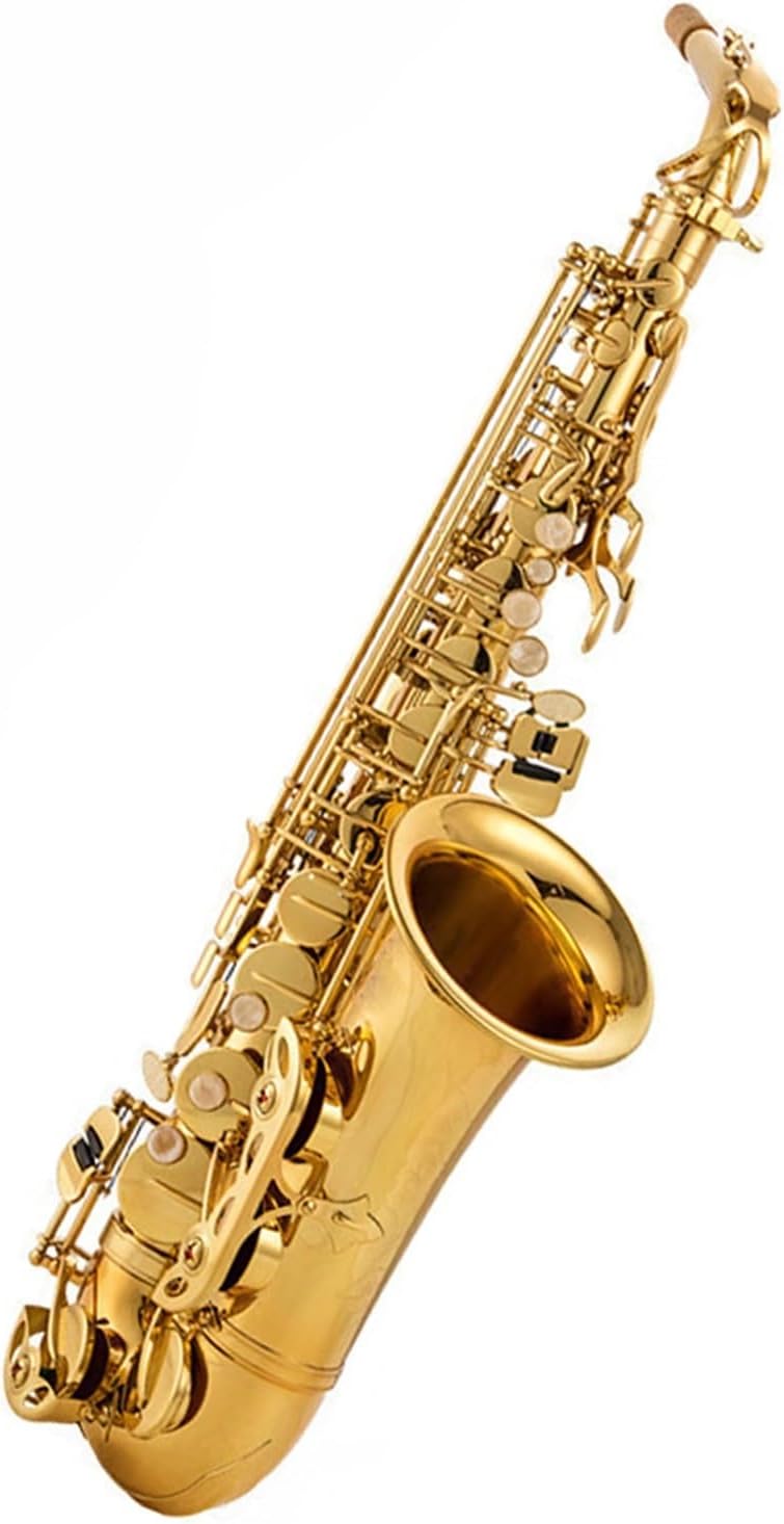E Flat Alto Saxophone Wind Instrument Exam Professional Performance Golden Beginner With Leather Case