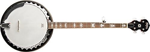 Washburn Americana B10, Banjo