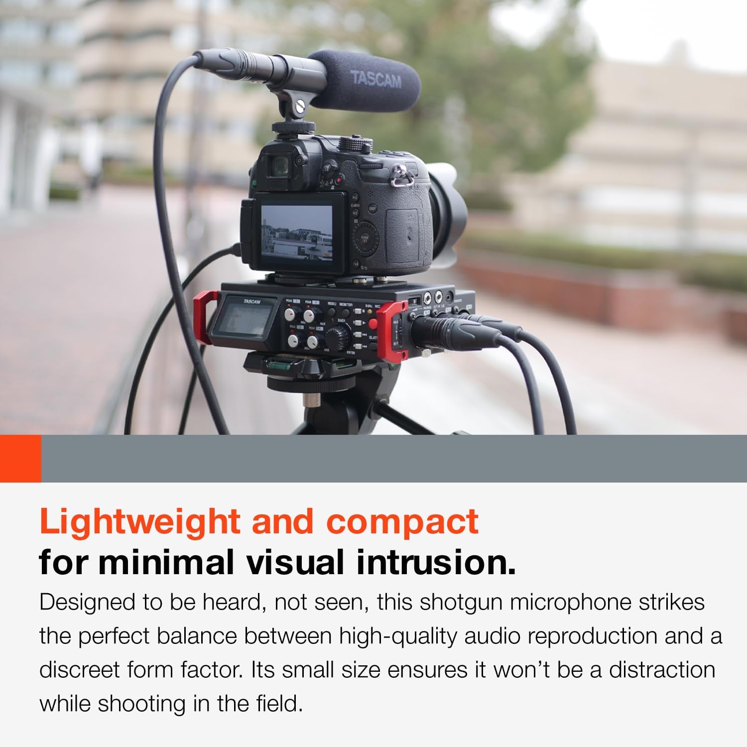 TASCAM TM-200SG Shotgun Microphone