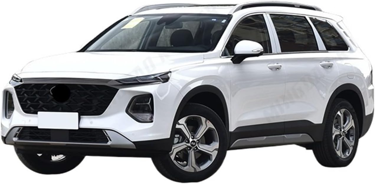 Compatible with Hyundai Santa Fe 2019-2023 Car Mudflaps Mud Flaps Splash Guards Mudguards Mud Flap Front Rear Fender Protector