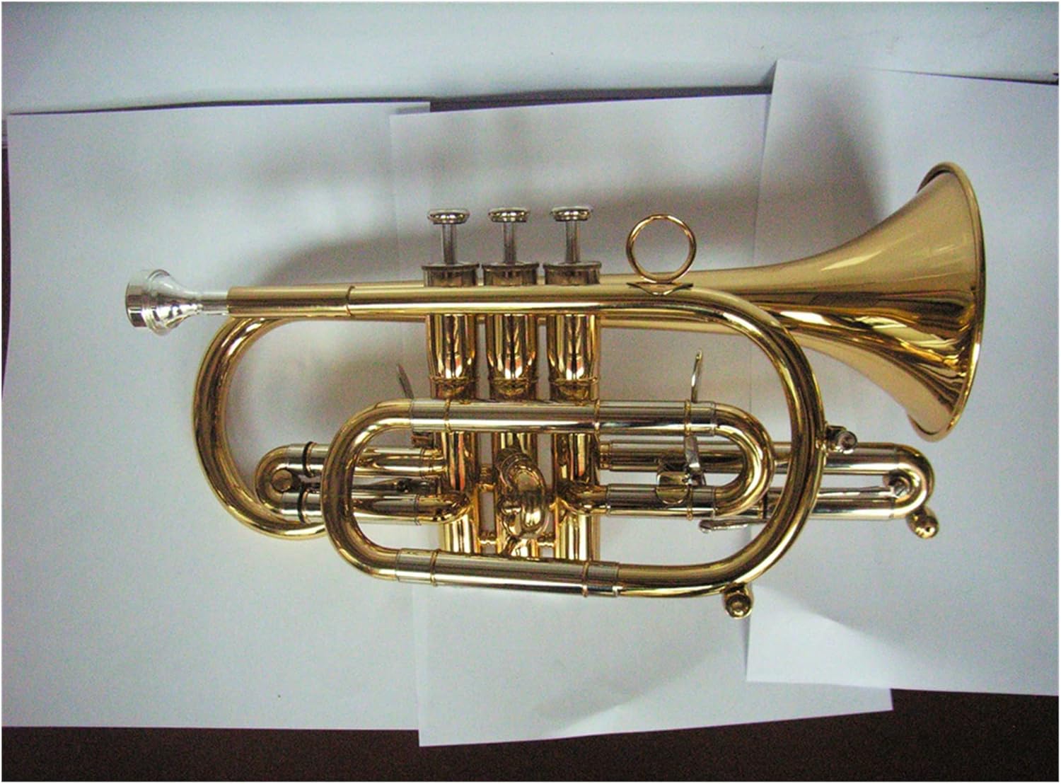 FLFL Student Trumpet Brass Body Gold Lacquer Finish Standard Bb Cornet