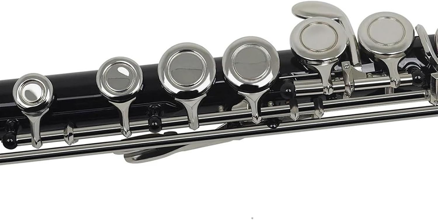 Black 16 Holes Flute Woodwind Instrument Closed Key Add The E Key C Tone Nickel Plated Concert Flute With Music Case