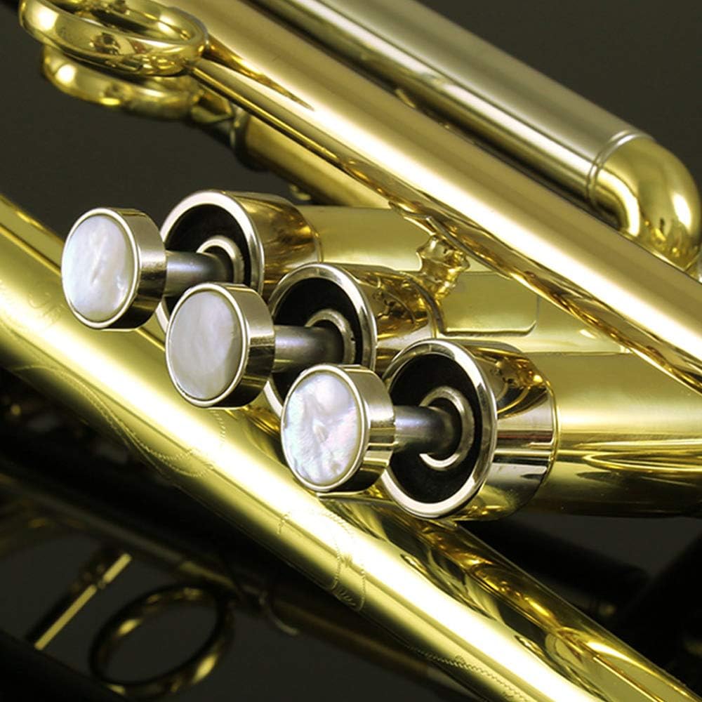 S50 beginner student level brass body gold lacquer Bb tone trumpet