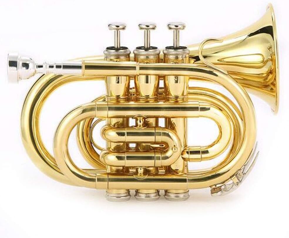Intermediate Trumpet Trumpet Portable B Flat Mini Corona Wind Instrument Beginners Playing Professional Grade Trumpet Instrument Tone Better