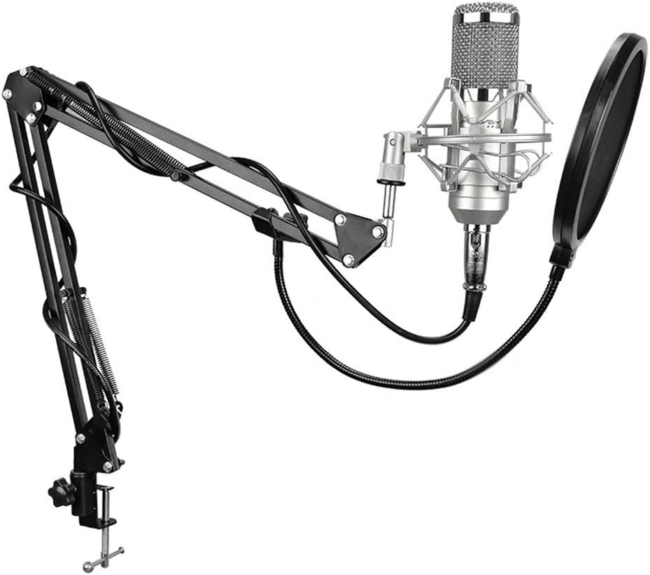 Without Noise Professional 3.5-XLR Recording Condenser Microphone for Computer Live Sound Card Karaoke (Color : Gold) (Silver)