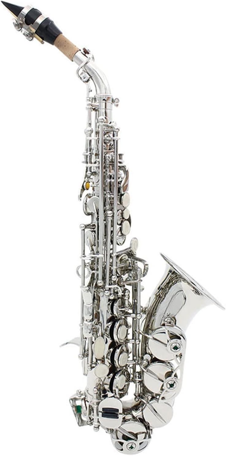 Saxophone Brass Body Lacquered Silver Bb B Flat Sax Woodwind Musical Instrument with Case