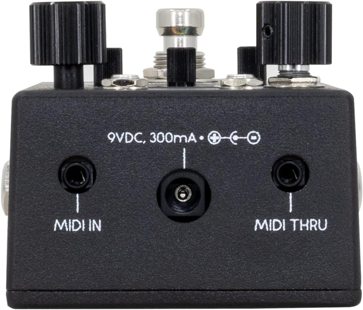 Walrus Audio Canvas Rehearsal Pedal