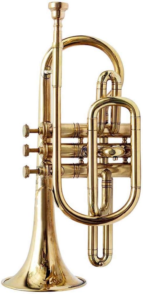 Brass Cornet Finish B Flat Great Look & Sound With Case Mp Gold shry068