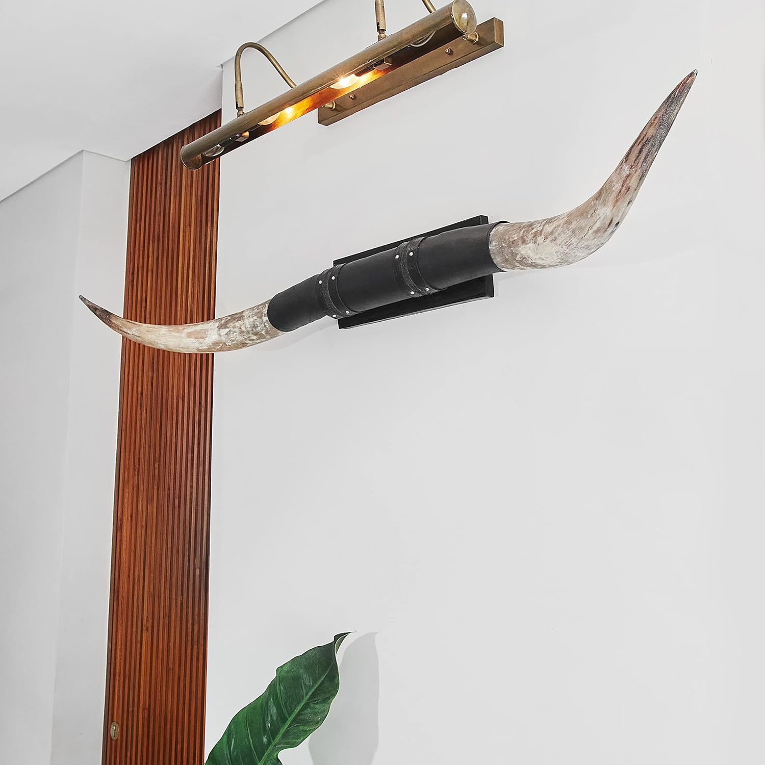 Skull Bliss - Authentic Real Bull Longhorn/Black Leather Horn Mount - Steer Horns/Unique Wall Hangings and Longhorn Wall Decor (Standard Horns)