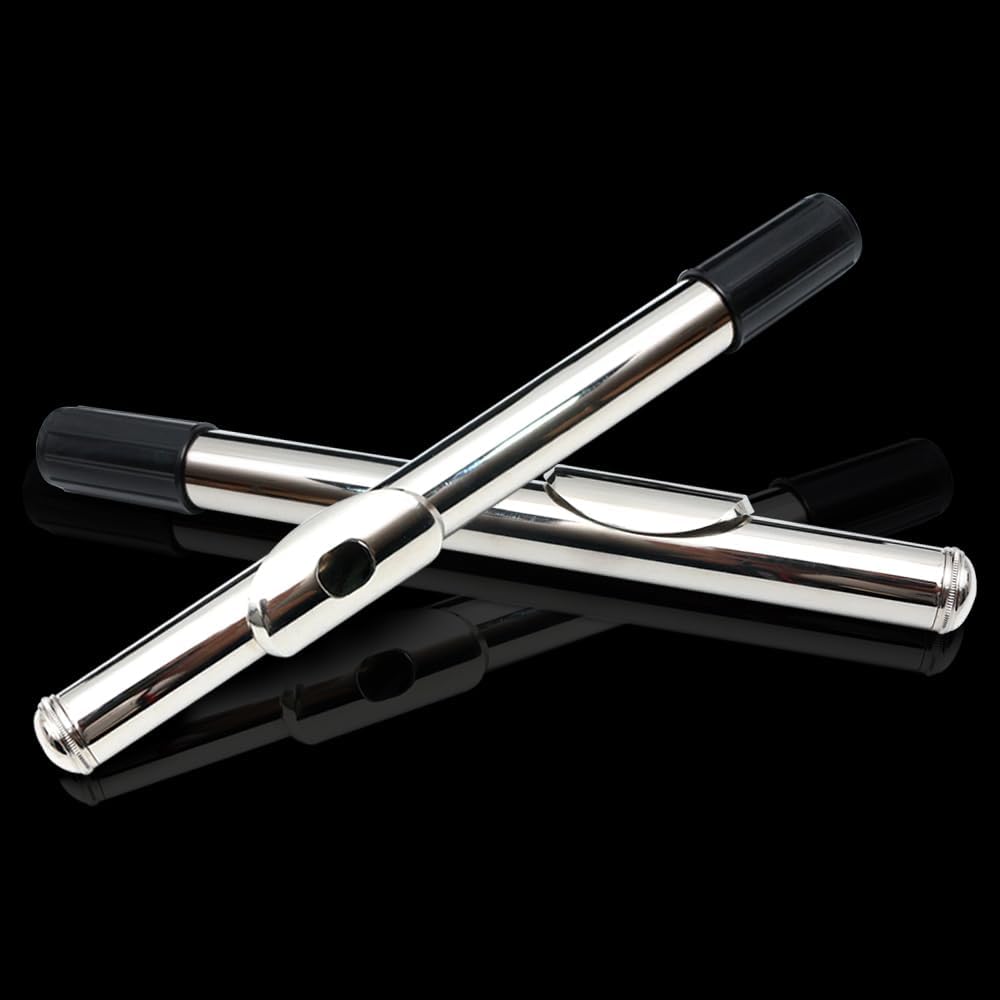 16 Key Closed Hole C Flute - Student Flute for Beginners,Easy to Play with Durable Design, Includes Carrying Case, Cleaning Kit, Gloves, Perfect for Learning(Silver)