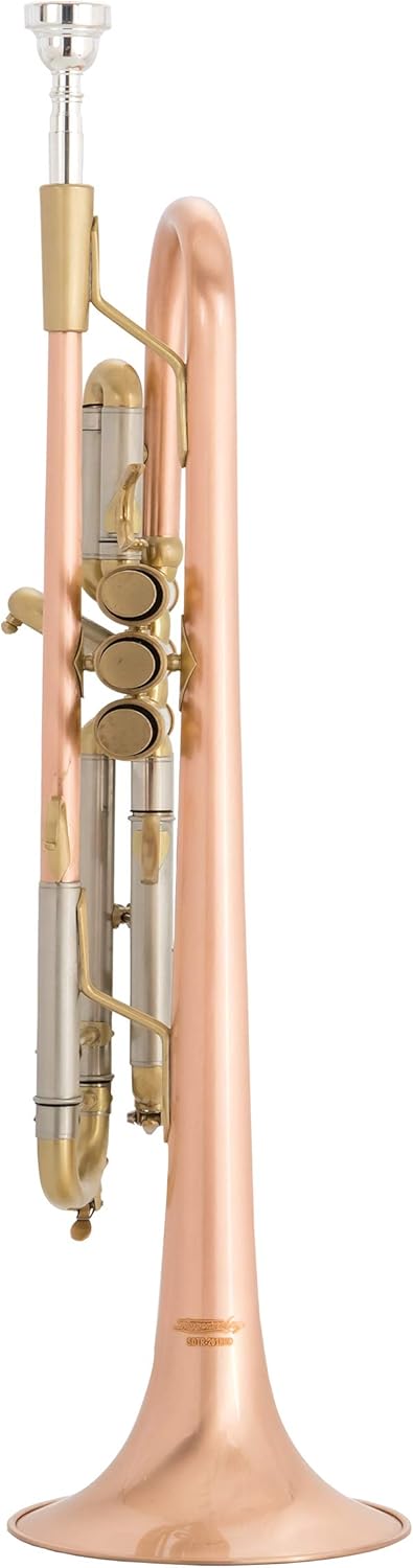 Singer's day SDTR-2019HD Heavy Duty Rose Brass Trumpet with Brushed Finish