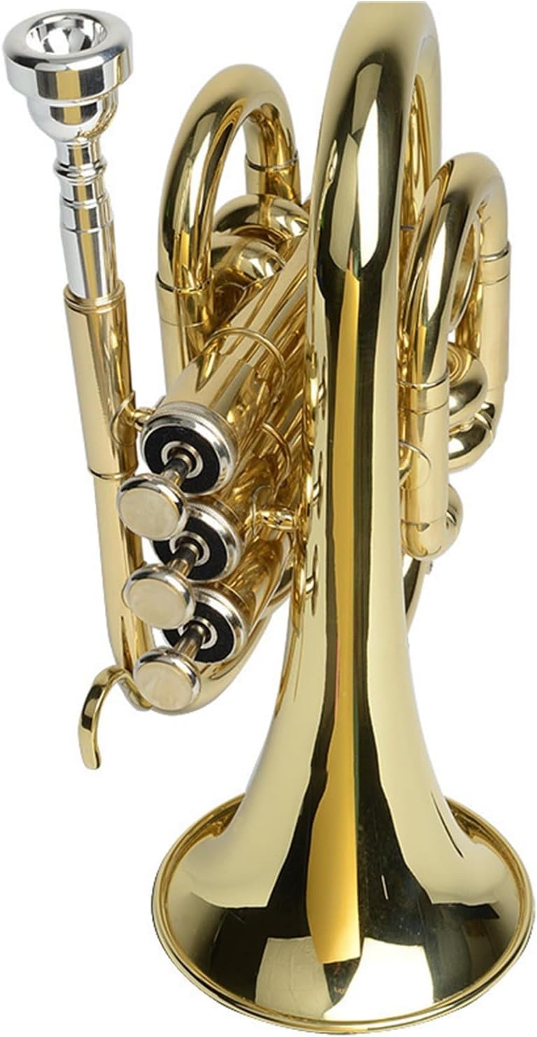 B flat mini trumpet cornet suitable for beginners