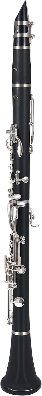 Bb Clarinet (Black) – Beginner, Student & Professionals Woodwind Instrument with 17 Nickel-Plated Keys, Durable Hard Case & Cleaning Kit, Ideal for Band & Orchestra
