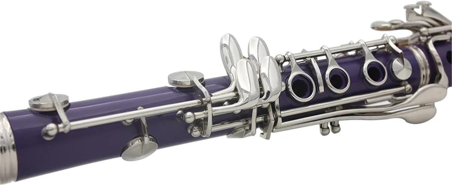 Clarinet Musical Instruments 17 Keys Bb Clarinet 6 Rings Purple Clarinetto Portable Bakelite Clarinet With Accessory Woodwind Instruments