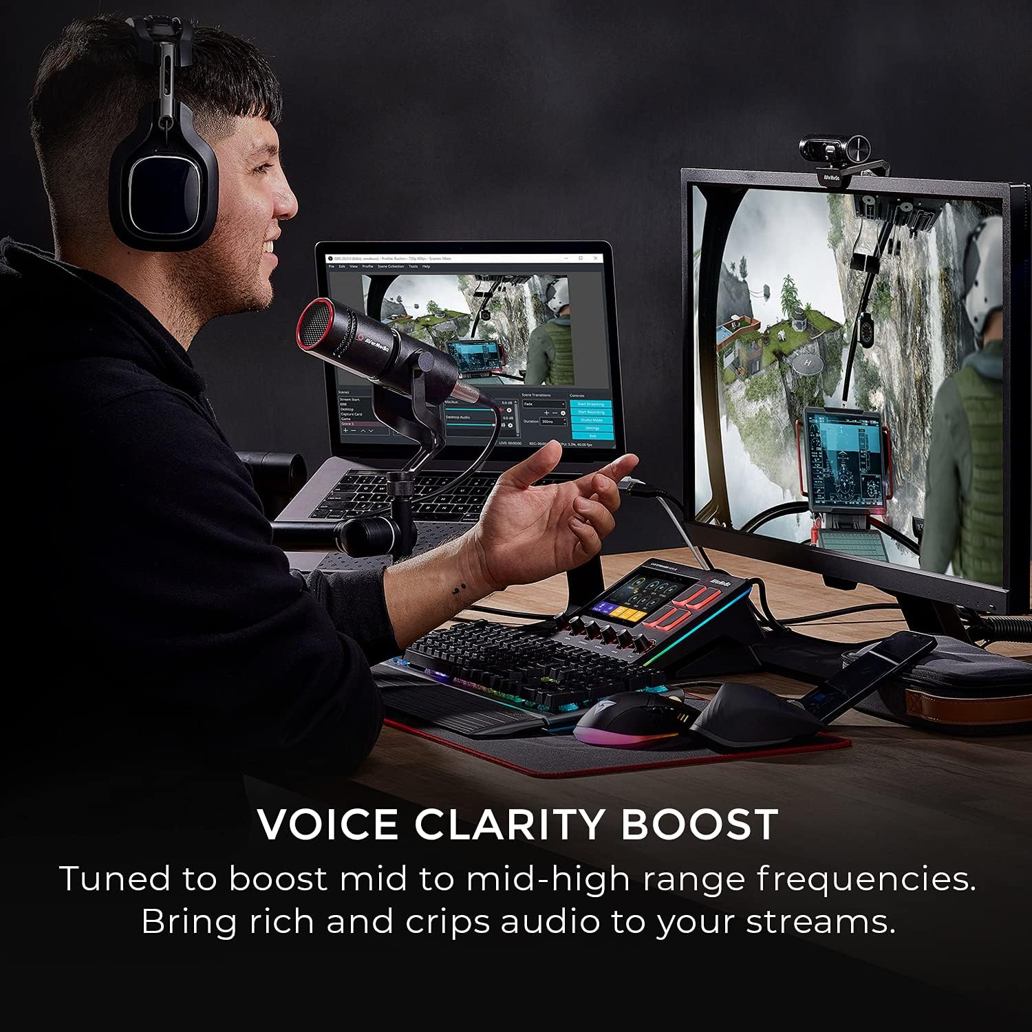 AVerMedia Live Streamer MIC 330 - Creators Cardioid Dynamic XLR Microphone for Live Streaming and Podcasting (AM330) ,Black