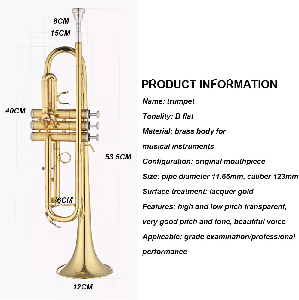 B-Flat Trumpet Suitable for Beginners, Brass Lacquered Gold Wind Instruments for Professional Performance Examinations, Western Instruments for Bands