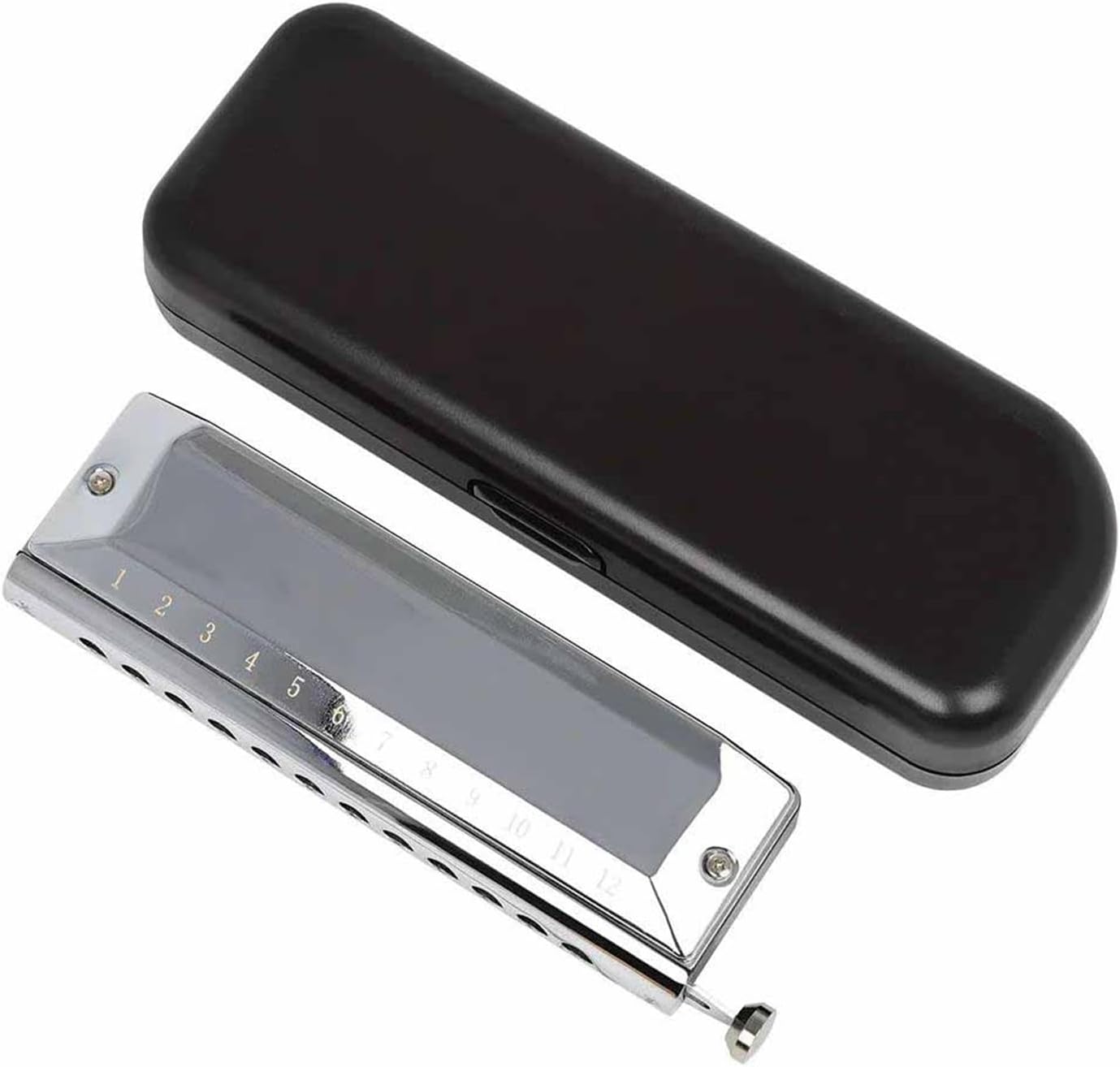 12hole 48 Note Chromatic Harmonica Professional Woodwind Instrument With Box
